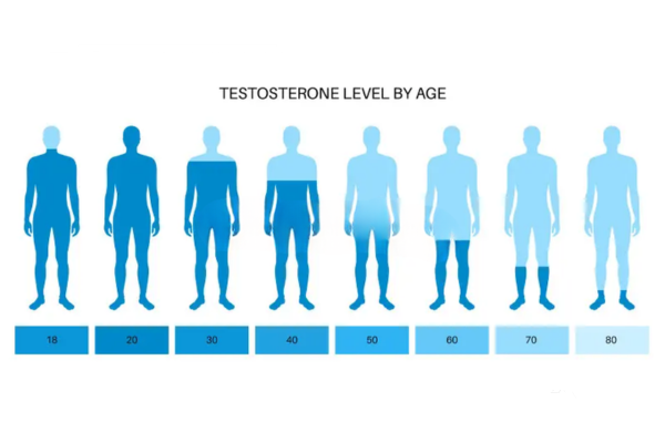 Testosterone Level